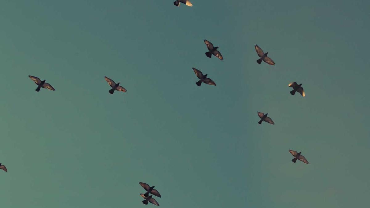 景德镇相邻的城市