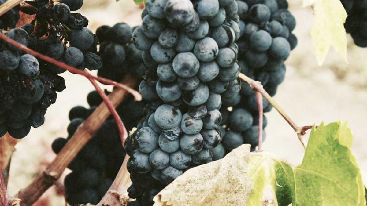 衡阳旅游十大景点