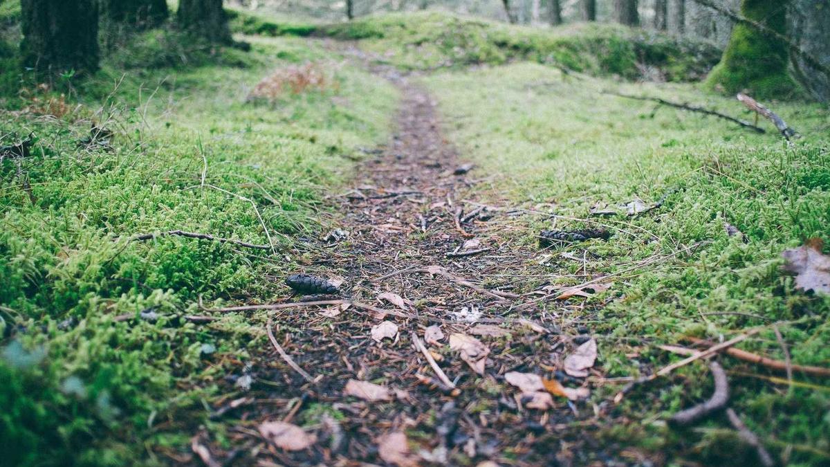 电动车发生火灾怎么处理