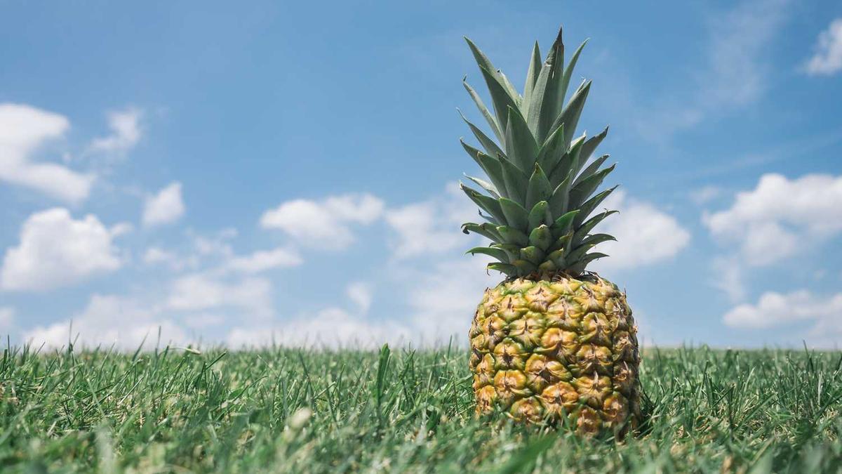 到家上门推拿正规吗