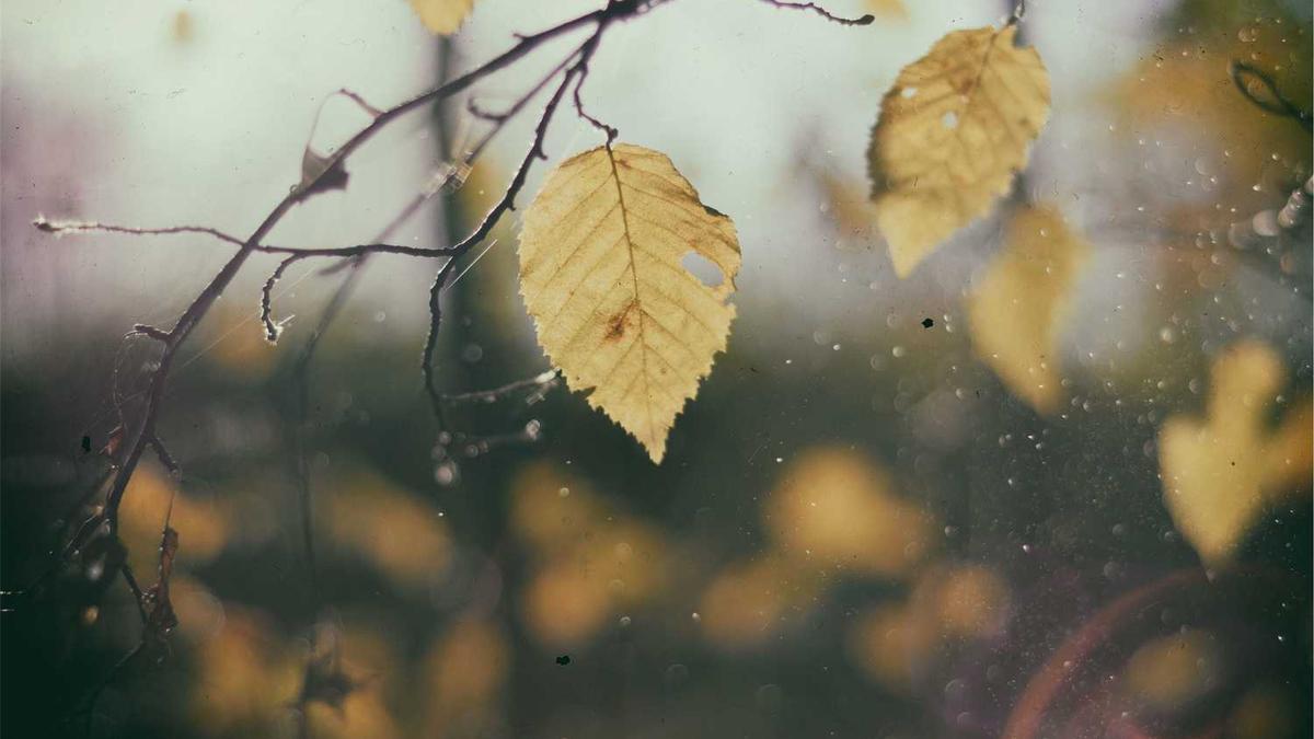 佛山照明是几线品牌照明灯有哪些品牌