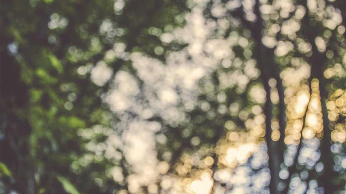 乌海市职业技木学校是公办吗