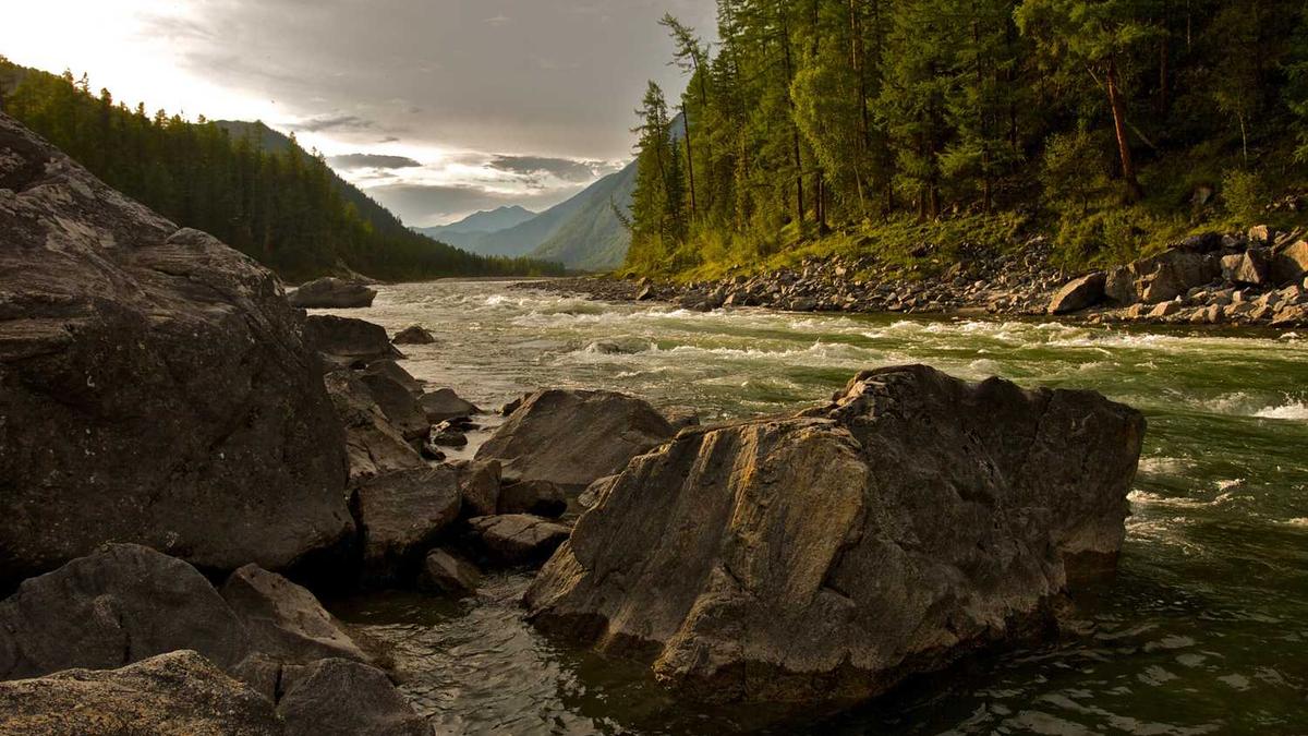 ai跳绳计数器怎么保存视频
