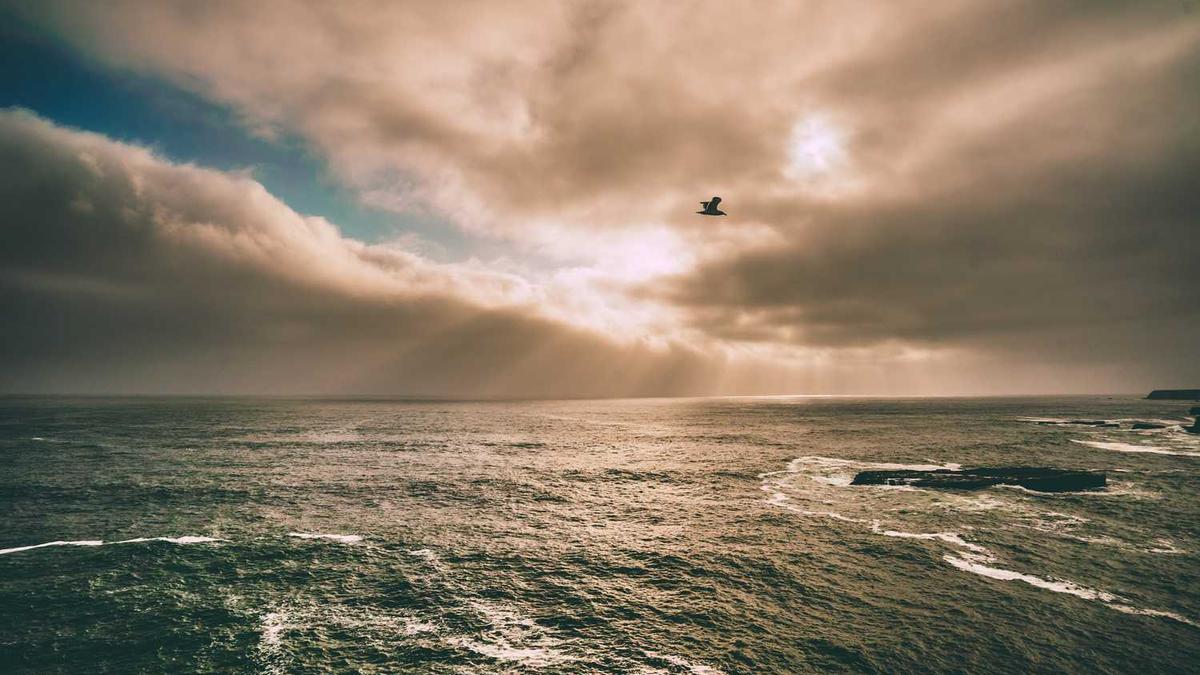 扑克牌手机游戏有哪些?种类介绍大全