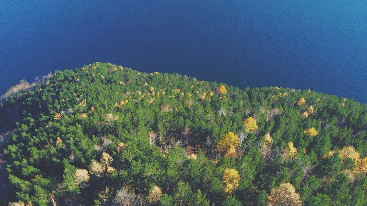 喝茶是什么意思,代表什么?