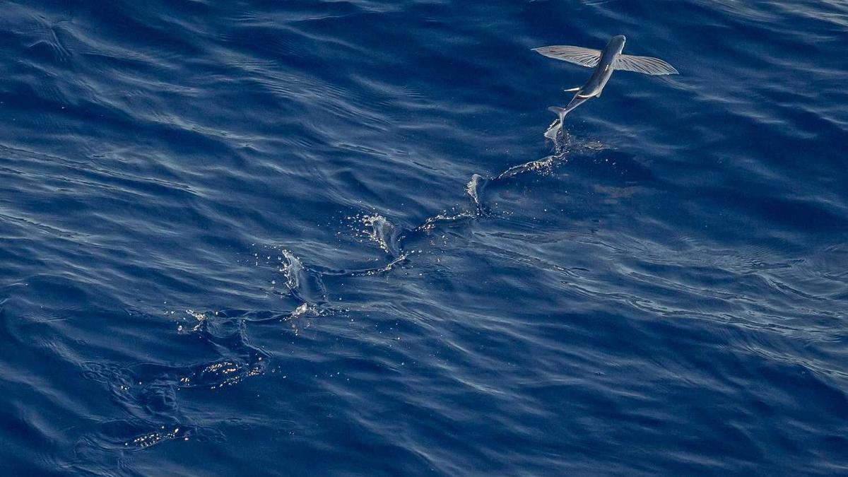 按摩椅什么牌子的质量好耐用?