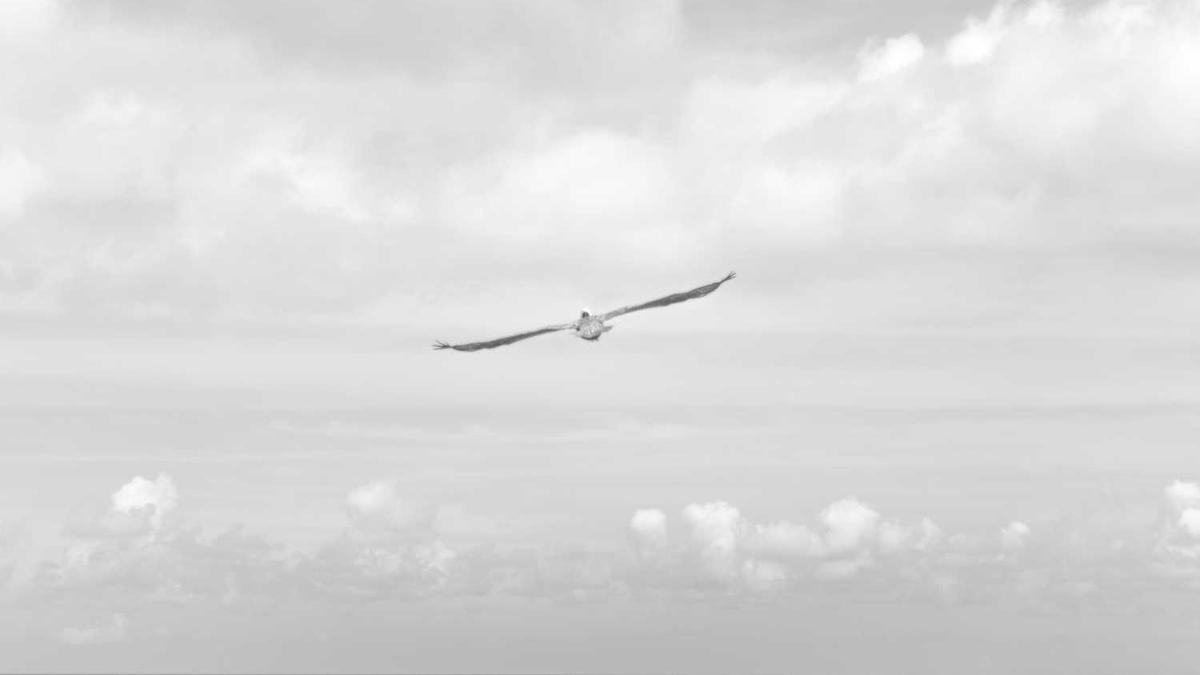 三大电信运营商:将提供退役军人专属通信套餐