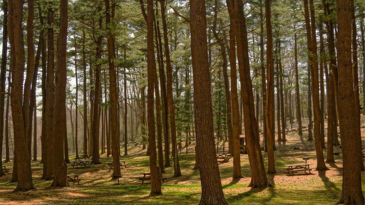 遵义医药高等专科学校取分线