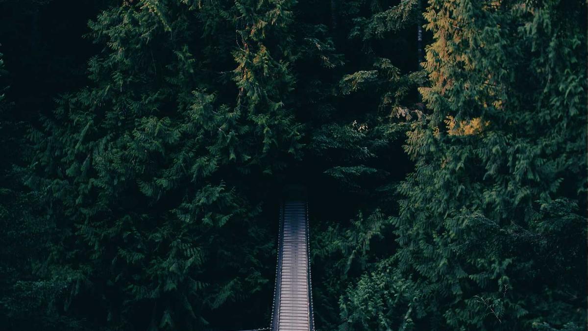 2025年呼和浩特铁路局公告三内容