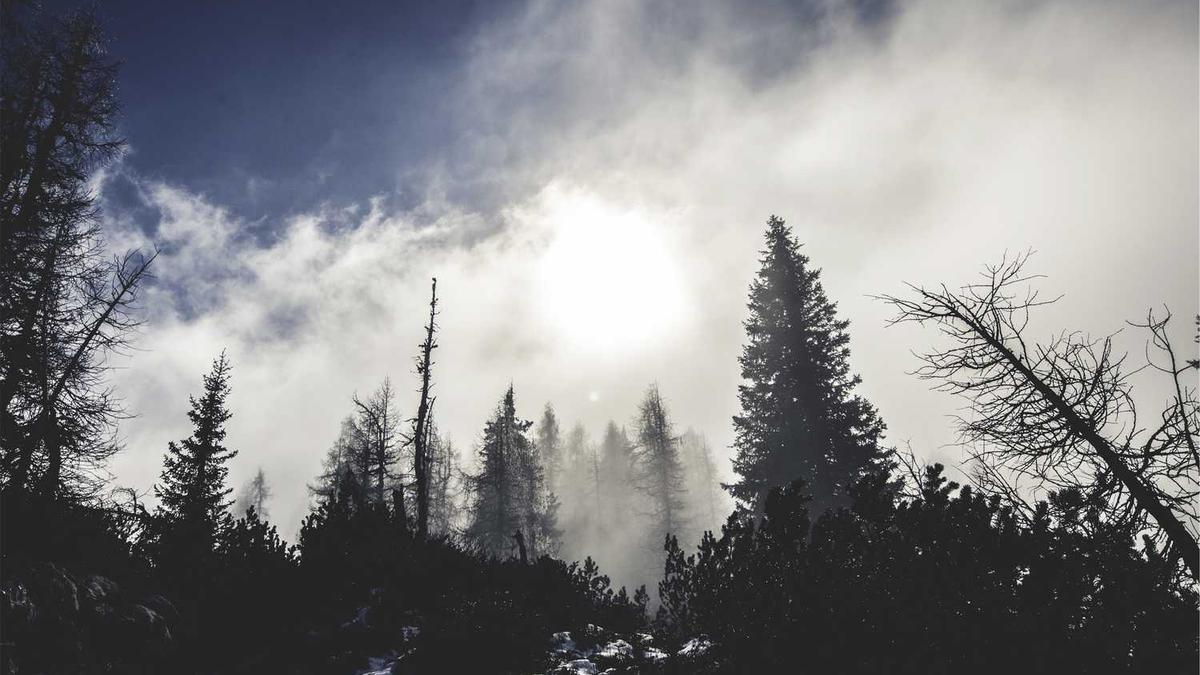 昆明城市学院位置在哪里