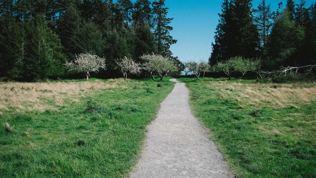 景区门票系统哪家强