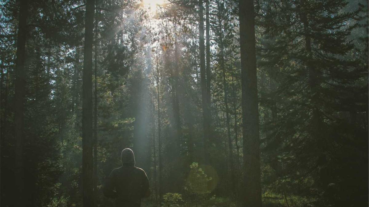 雅安职业技术学院录取分数