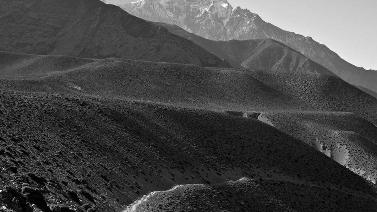 按摩椅前十强品牌有哪些