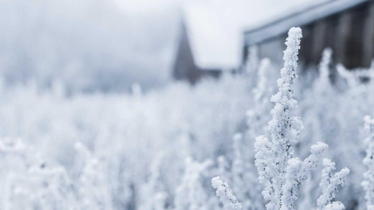 宜春有哪些商业街值得一逛?