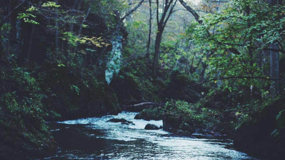 达州旅游攻略景点必去