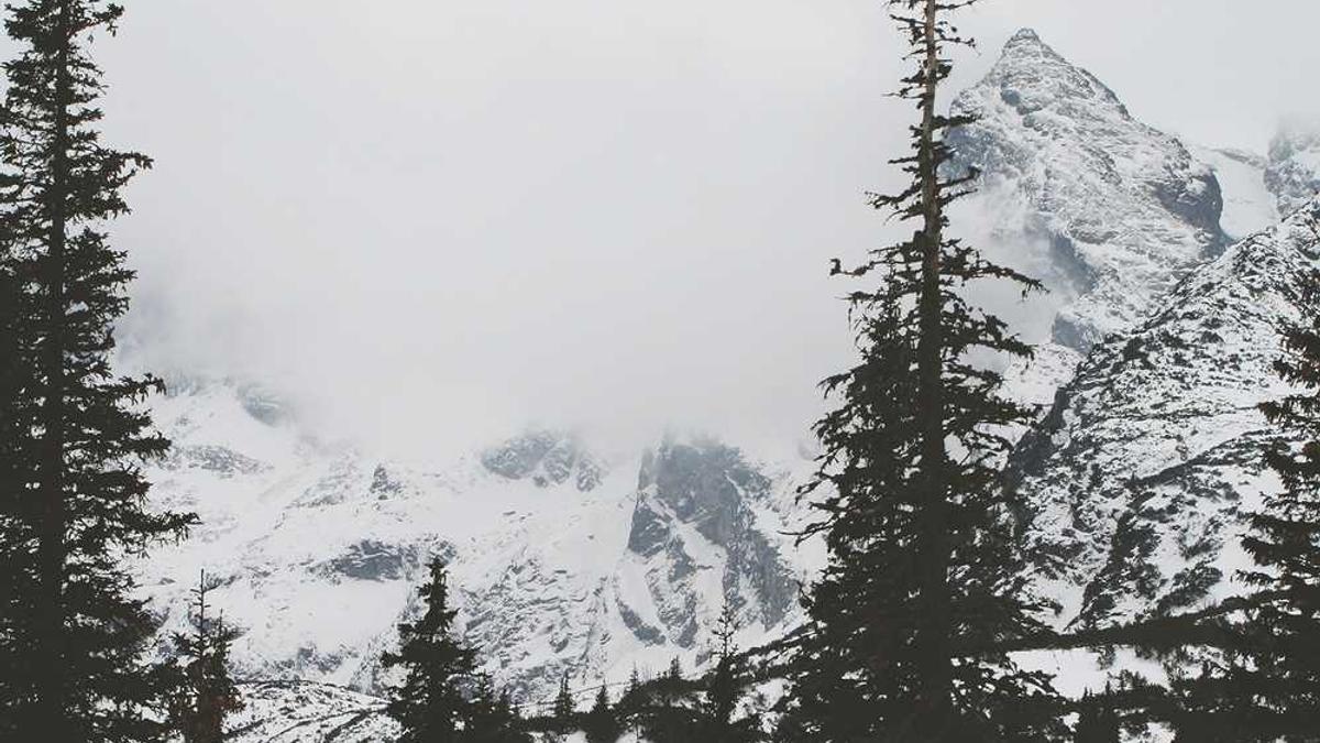 世茂璀璨泱颂泰州排行