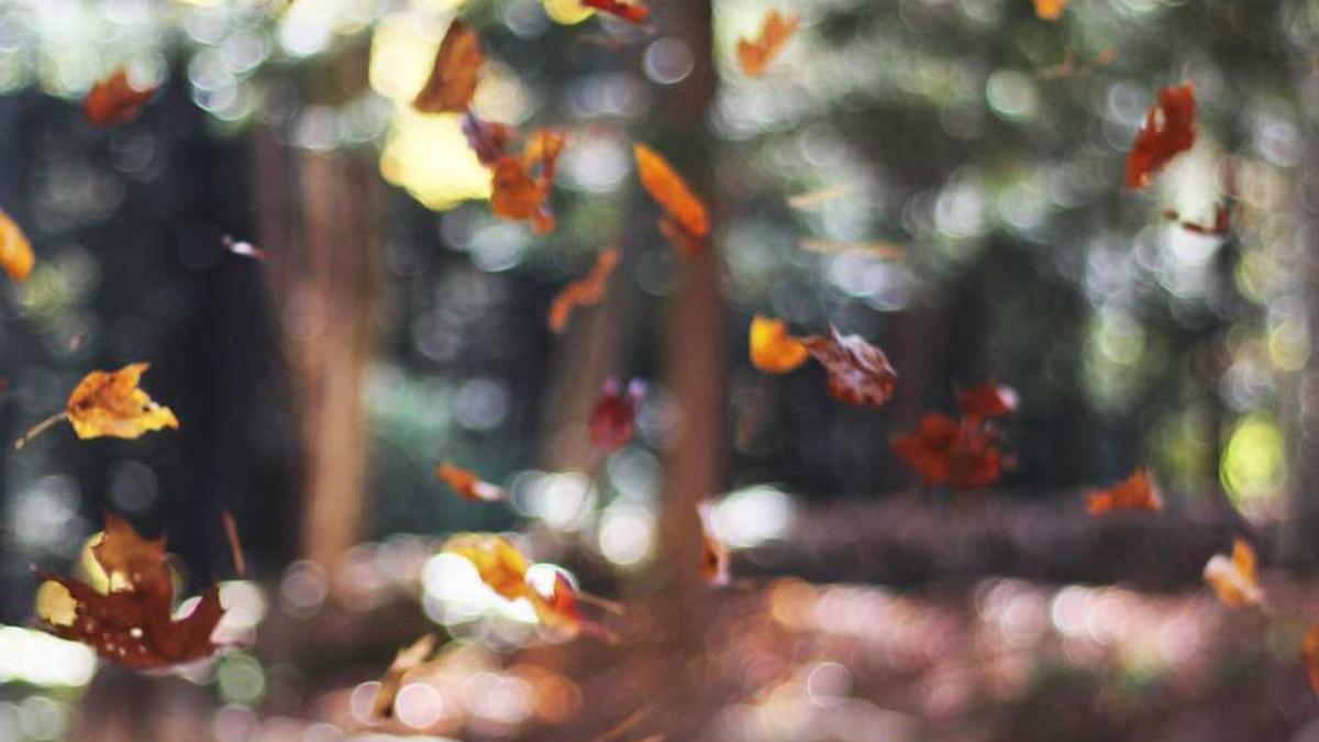 河北省公安厅通报“唐山烧烤店打人事件”侦办进展