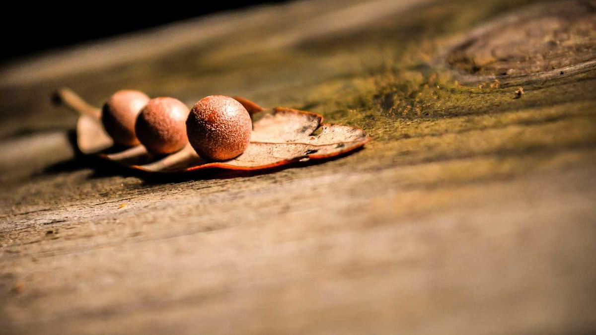 厦门旅游必去十大景点