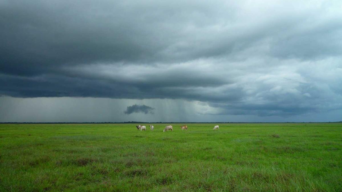 北海公园从哪个门进
