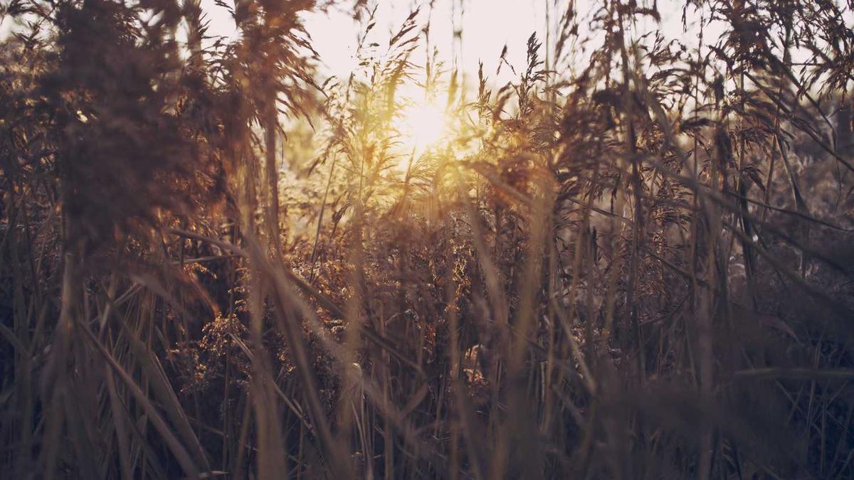 谁能介绍一下 舟山???