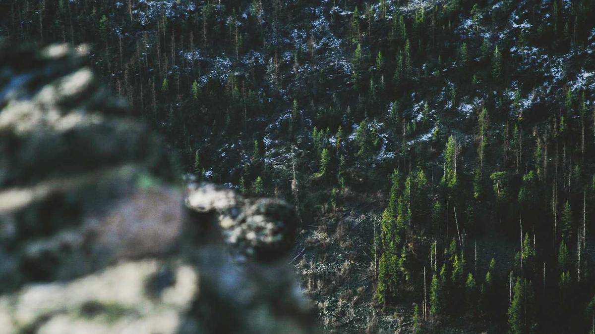 鄂尔多斯股票是做什么