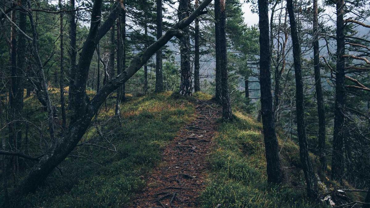 苏州房价还会跌吗