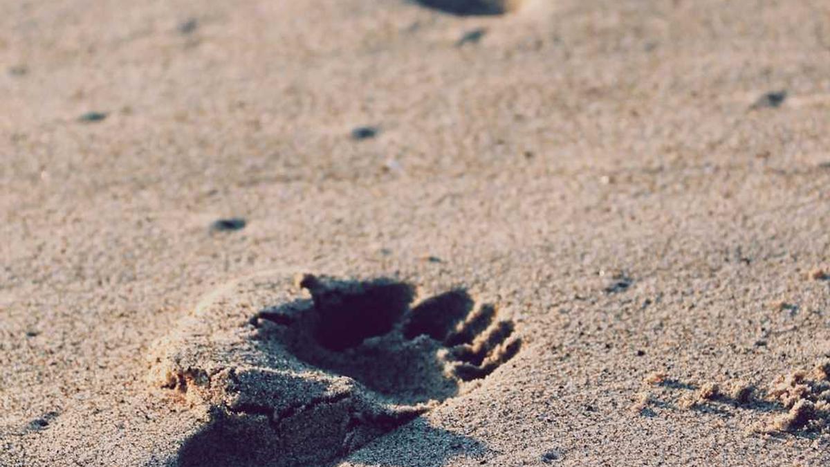 河北廊坊区号12315怎么打