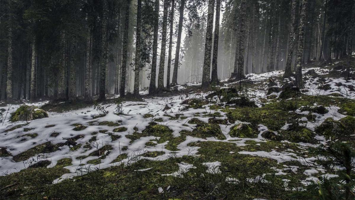 南通必去三个景点