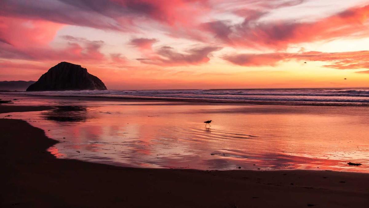 长沙市政府各部门职能