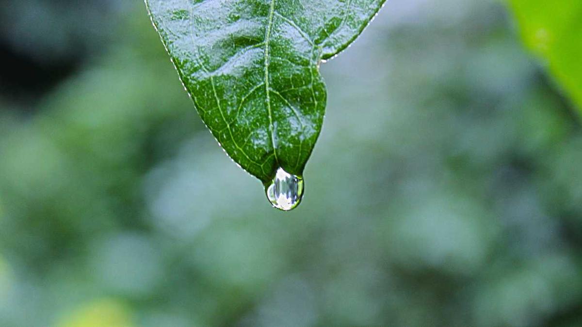 遵义红价格表和一