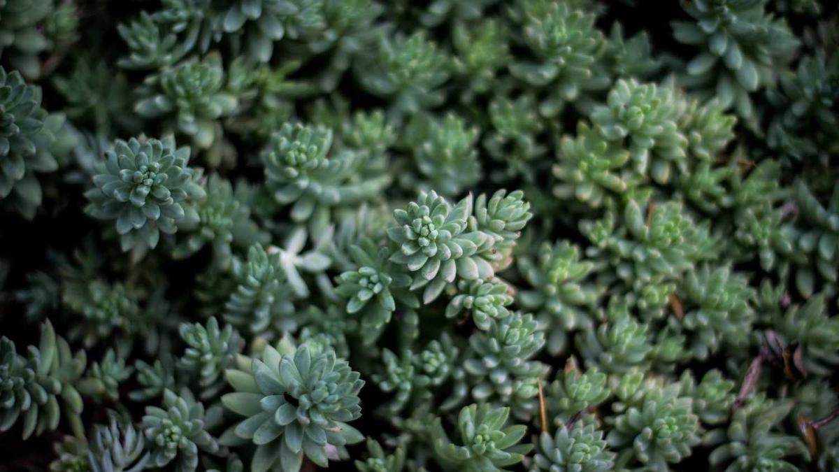 菏泽市有哪几个区县?