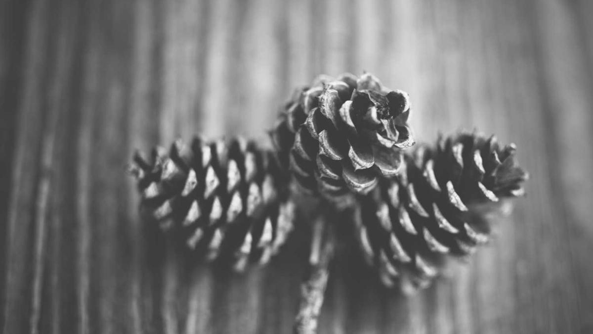 呼和浩特警方抓获一名潜逃 23 年的命案犯罪嫌疑人