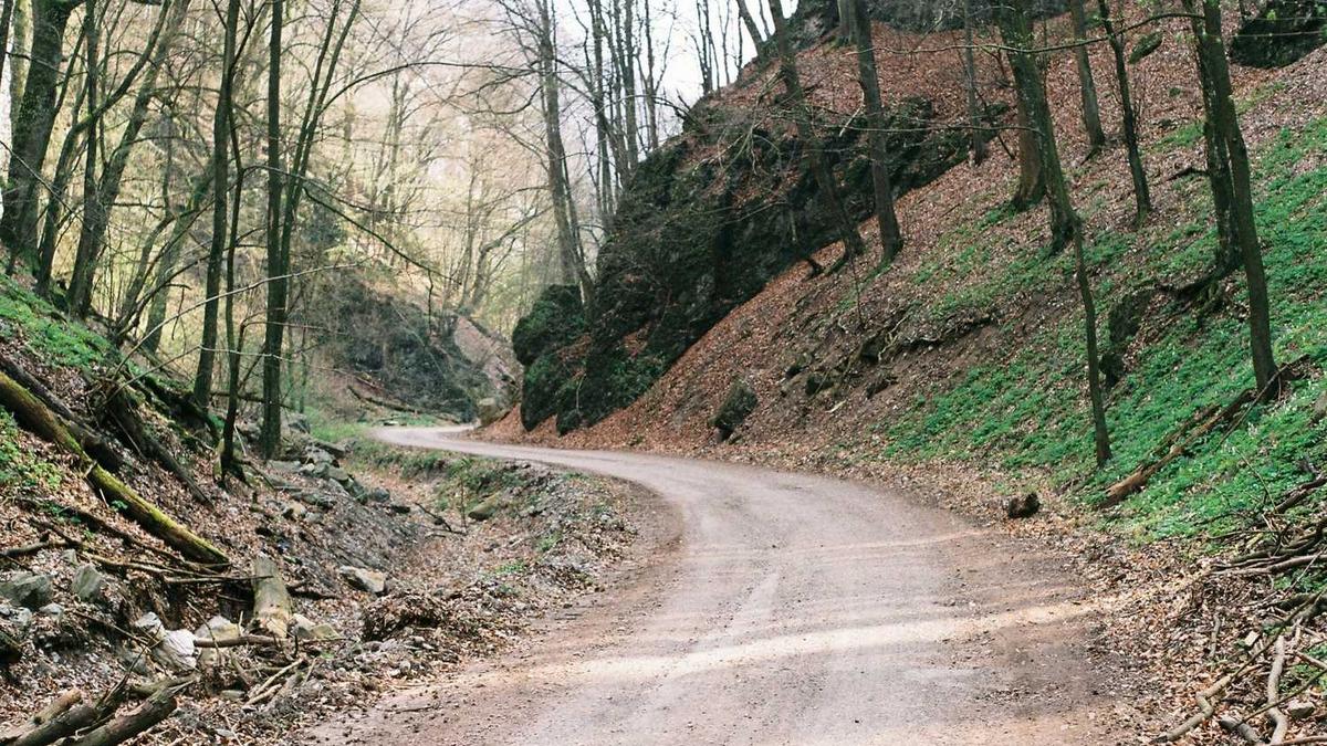 苏州特产适合带回家的