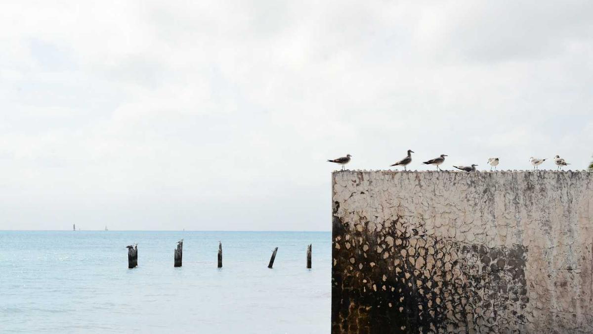 崇左,是怎样的一个城市?