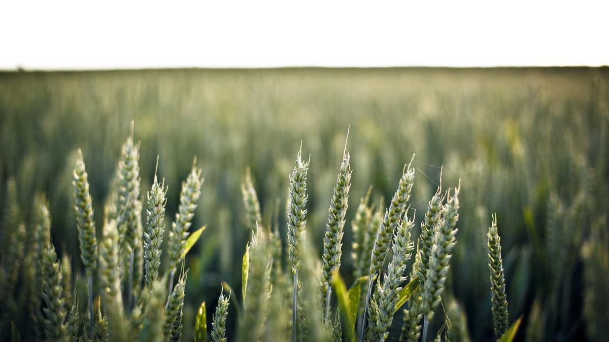 广东省东莞市新天地华庭的房价