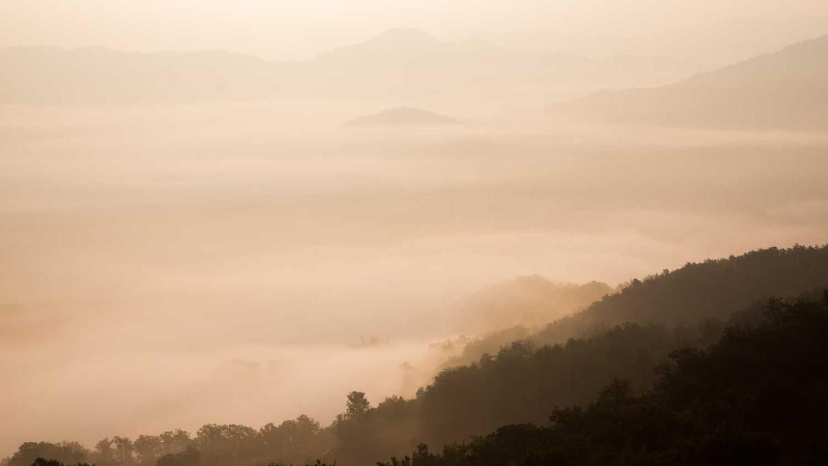 火锅店传菜机器人厂家