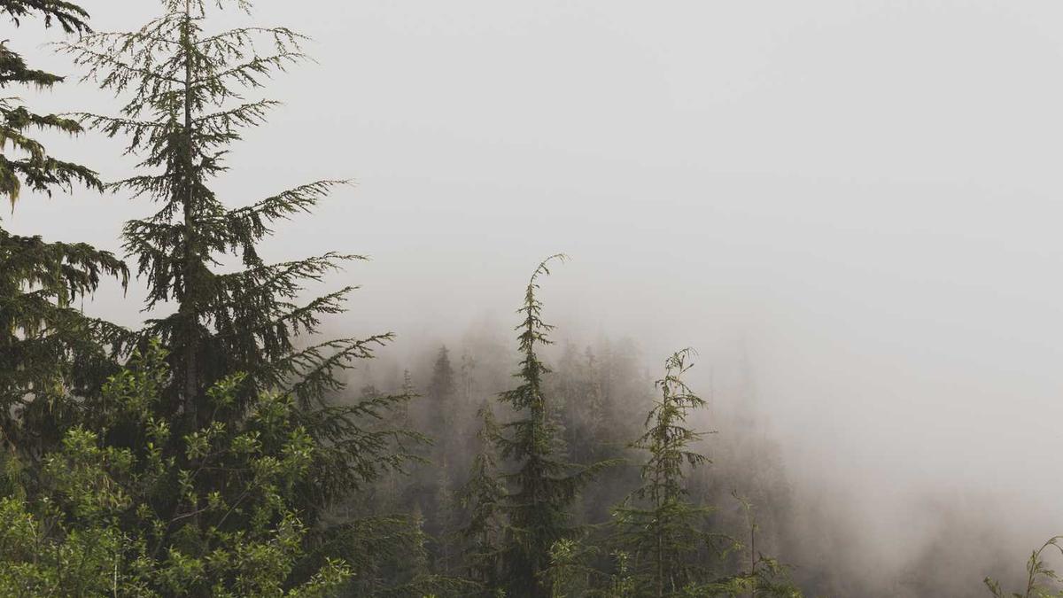 气候最好,四季分明的地方,