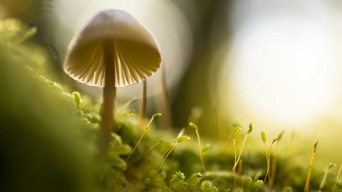 qq一天可以加多少人