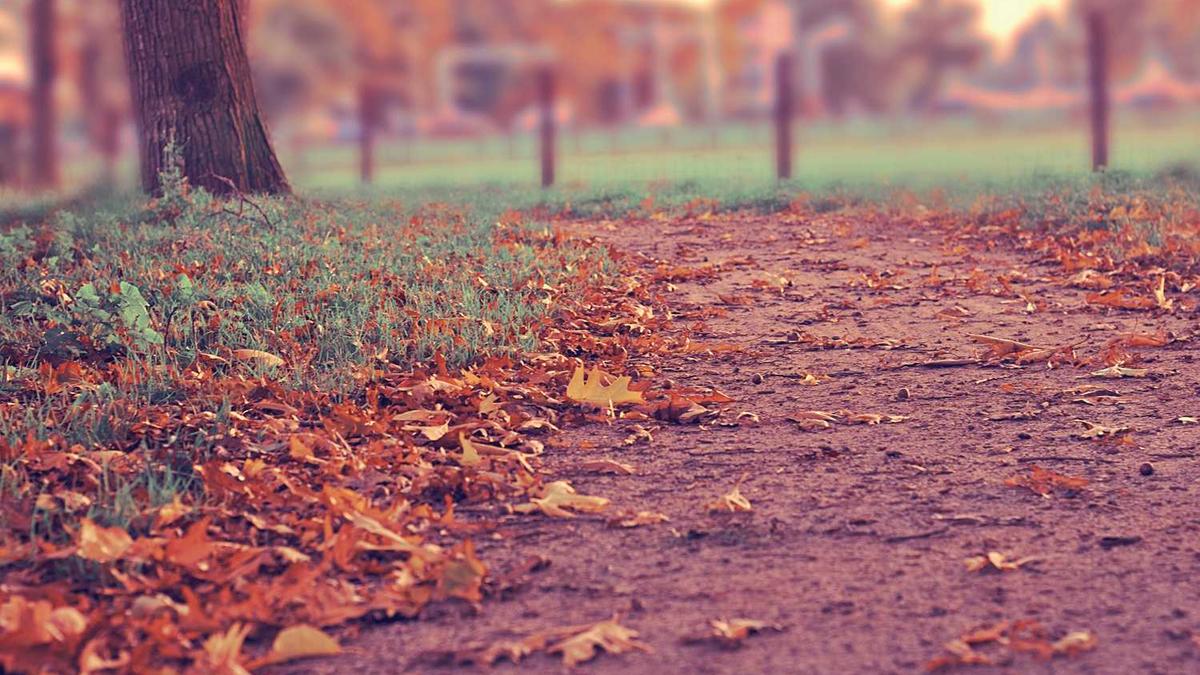 辽阳职业技术学院地址在哪里