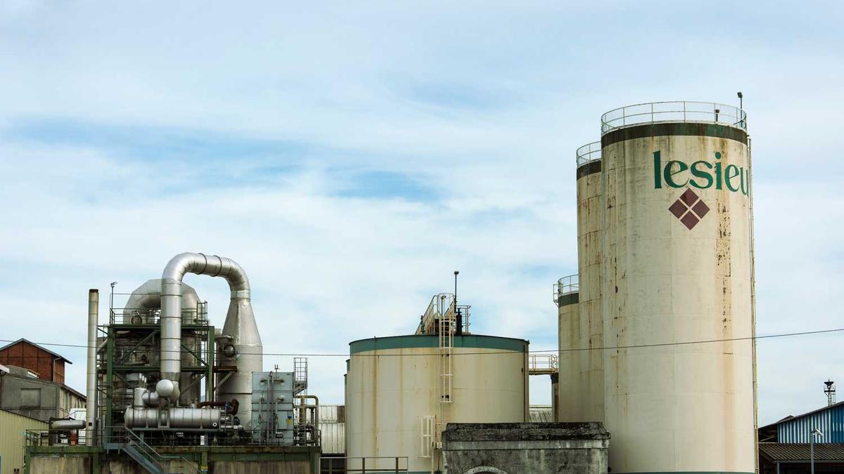 中国郑开国际马拉松赛的大事记