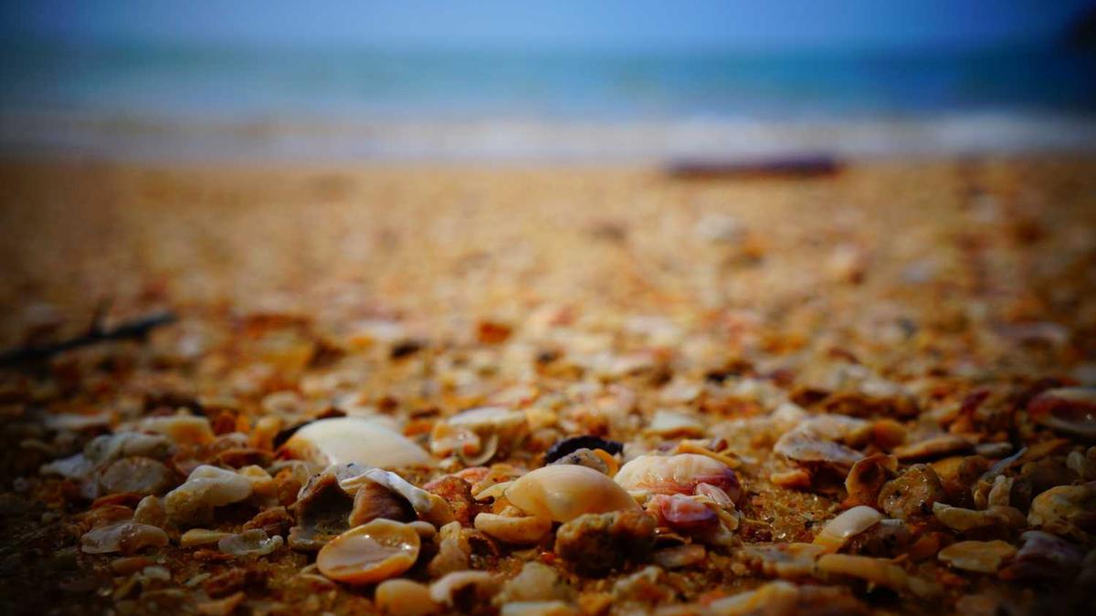 河南省新乡市天气预报10天?