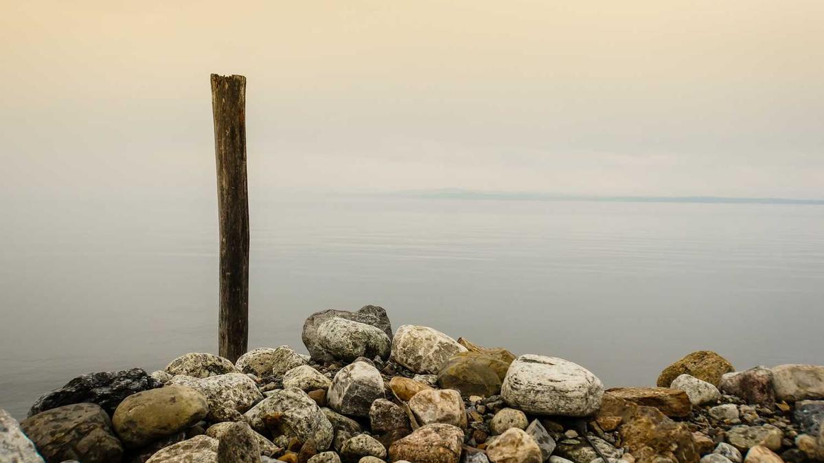 吉林男篮主教练是谁