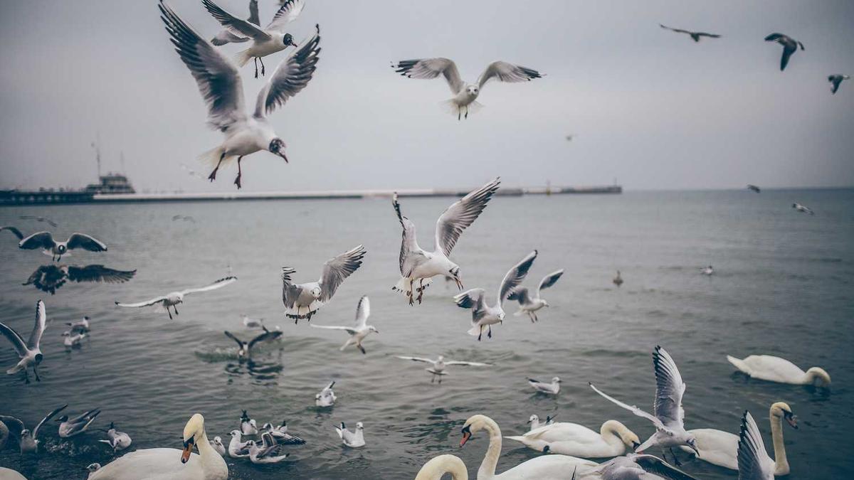 今日播报 襄阳新闻什么时候播放