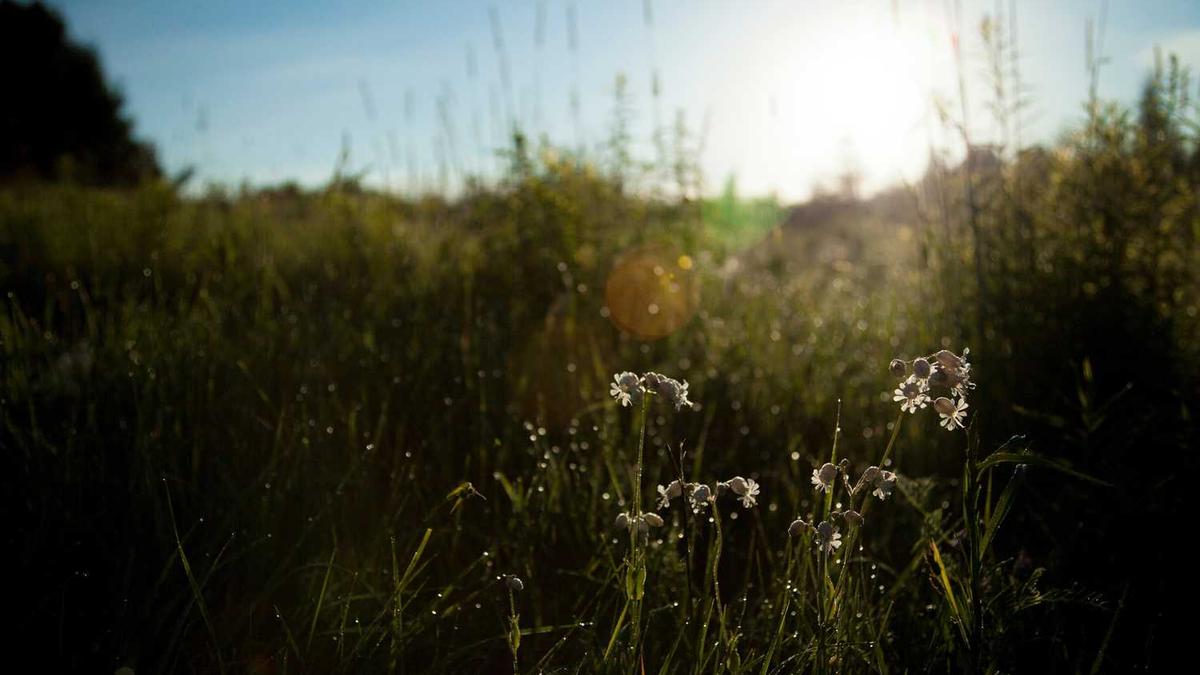 我是郴州桂阳的那分数要多少才能考上高中。