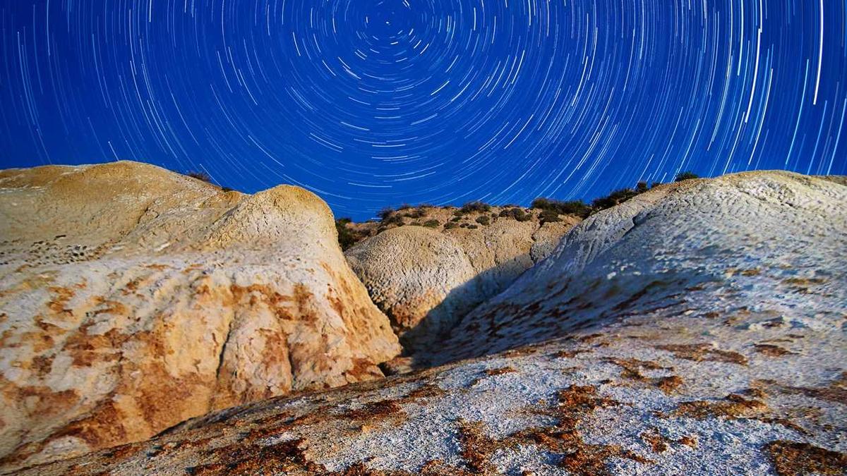 国家推出九价打一免一政策完整的政策和城市名单