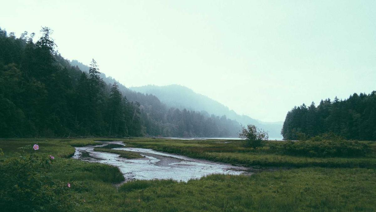 mof材料的上市公司