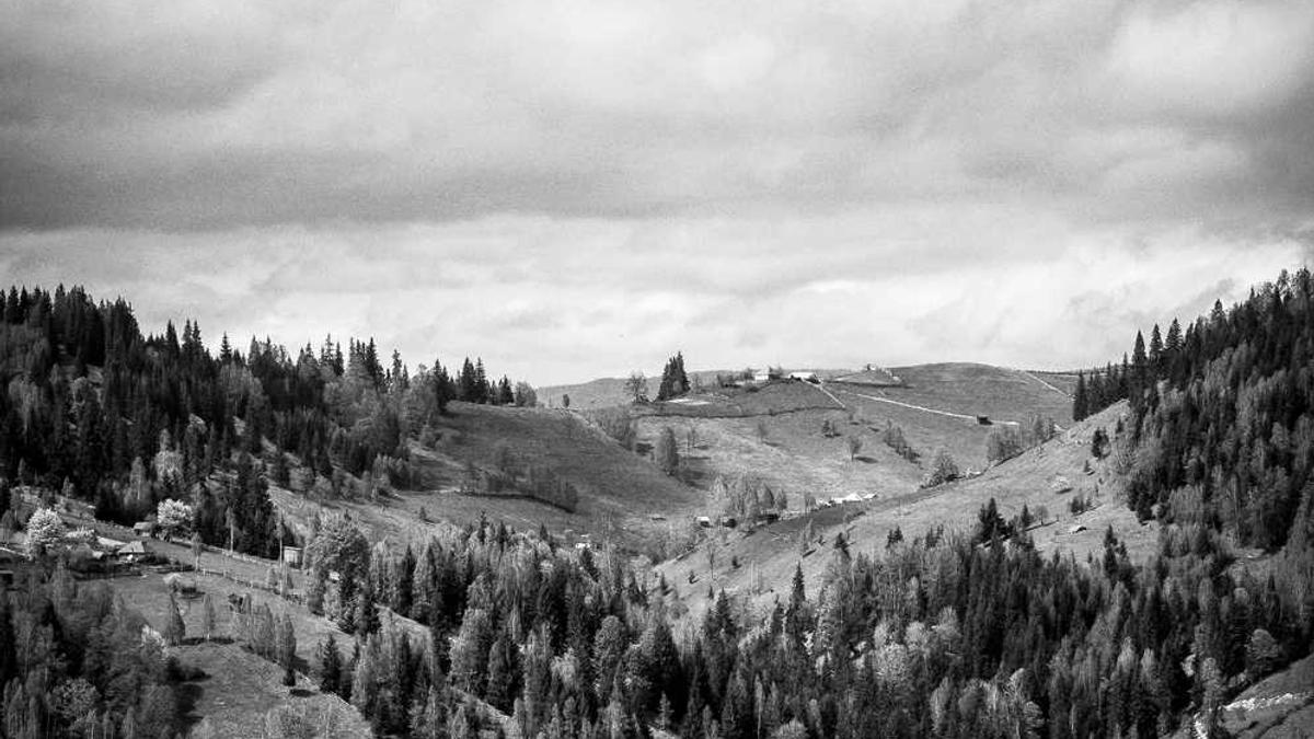 “1岁工作22岁退休”