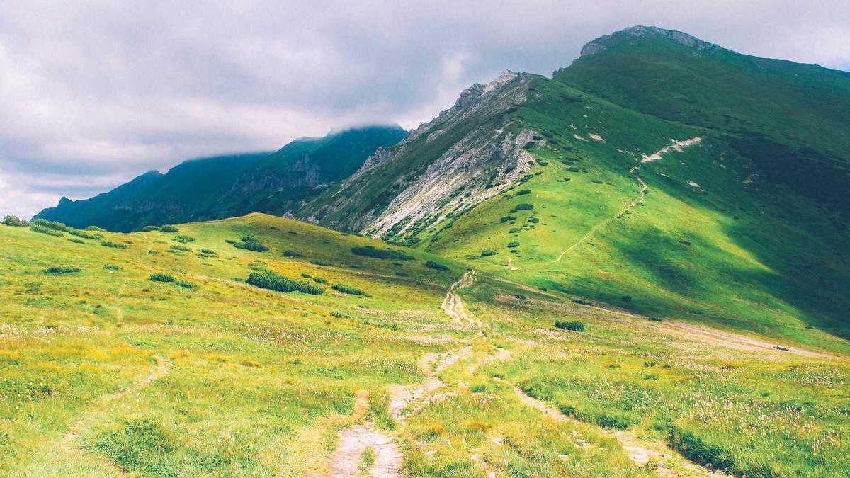 超遗憾的8所大学,有211实力却错失头衔!