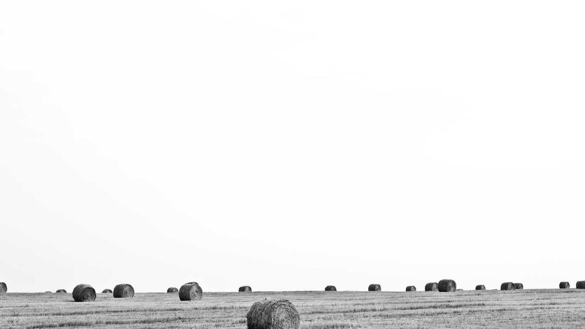 江西天气预报查询一周