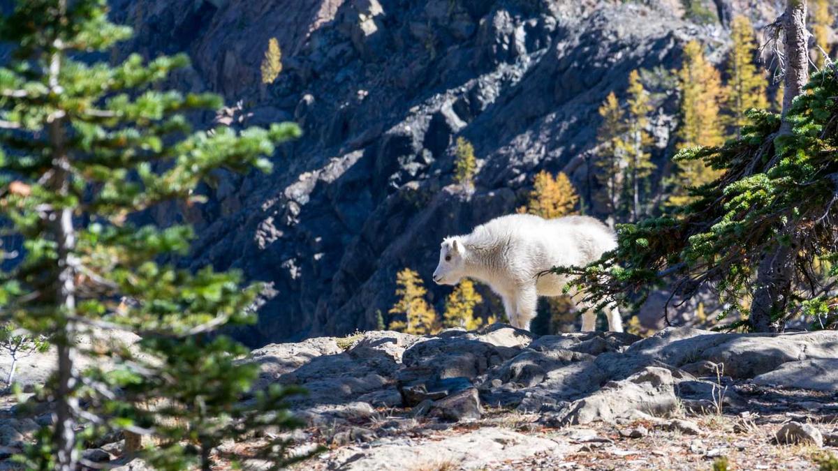 巴盟包括哪些地方?